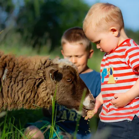 Πανσιόν Mickels Bondgardsglamping Gottby