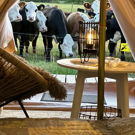 Mickels Bondgardsglamping Πανσιόν Gottby