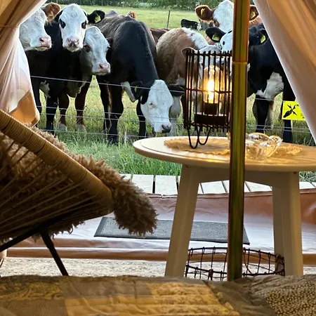 Mickels Bondgardsglamping Πανσιόν Gottby