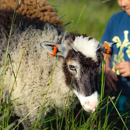 Mickels Bondgardsglamping Pensionat Gottby